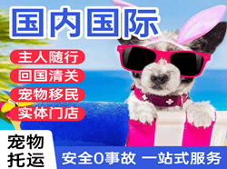 新桥航空空运国际宠物托运 【国